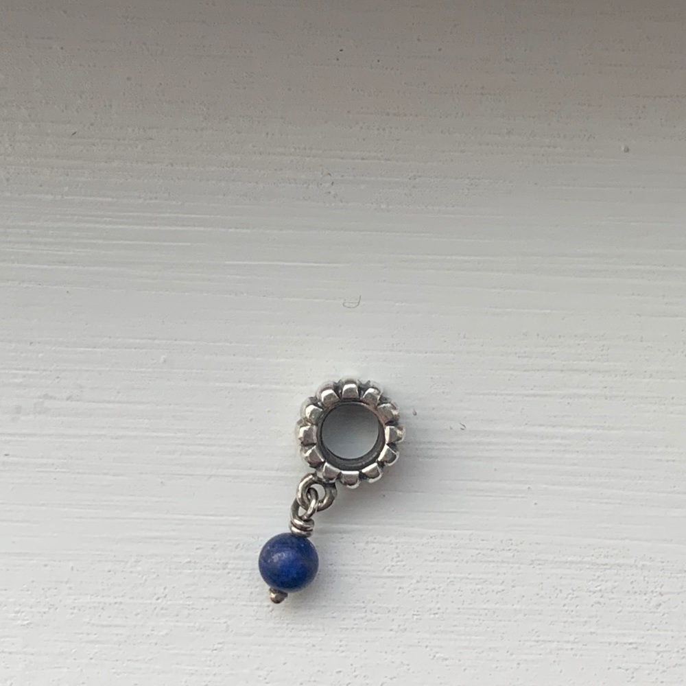 Retired Pandora Charm